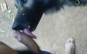 guy fucks animal, zoophilia fuck porn